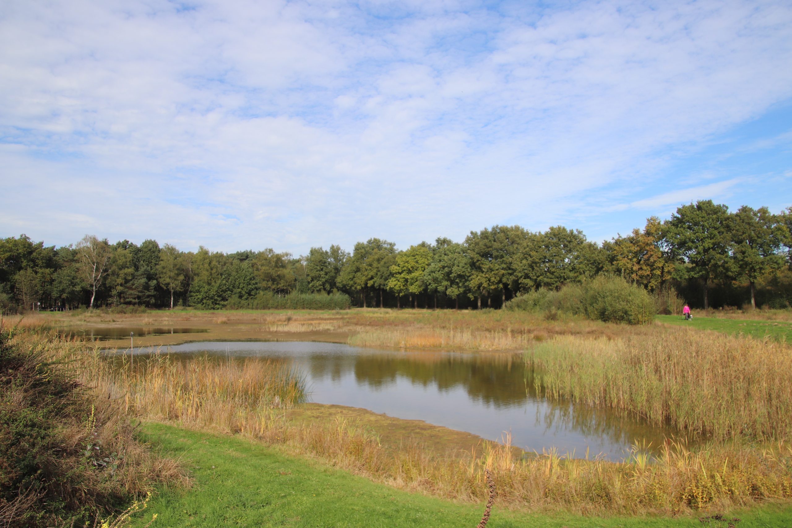 Landschap met een vijver, omringd door gras en bomen, onder een bewolkte lucht. Een persoon in roze.