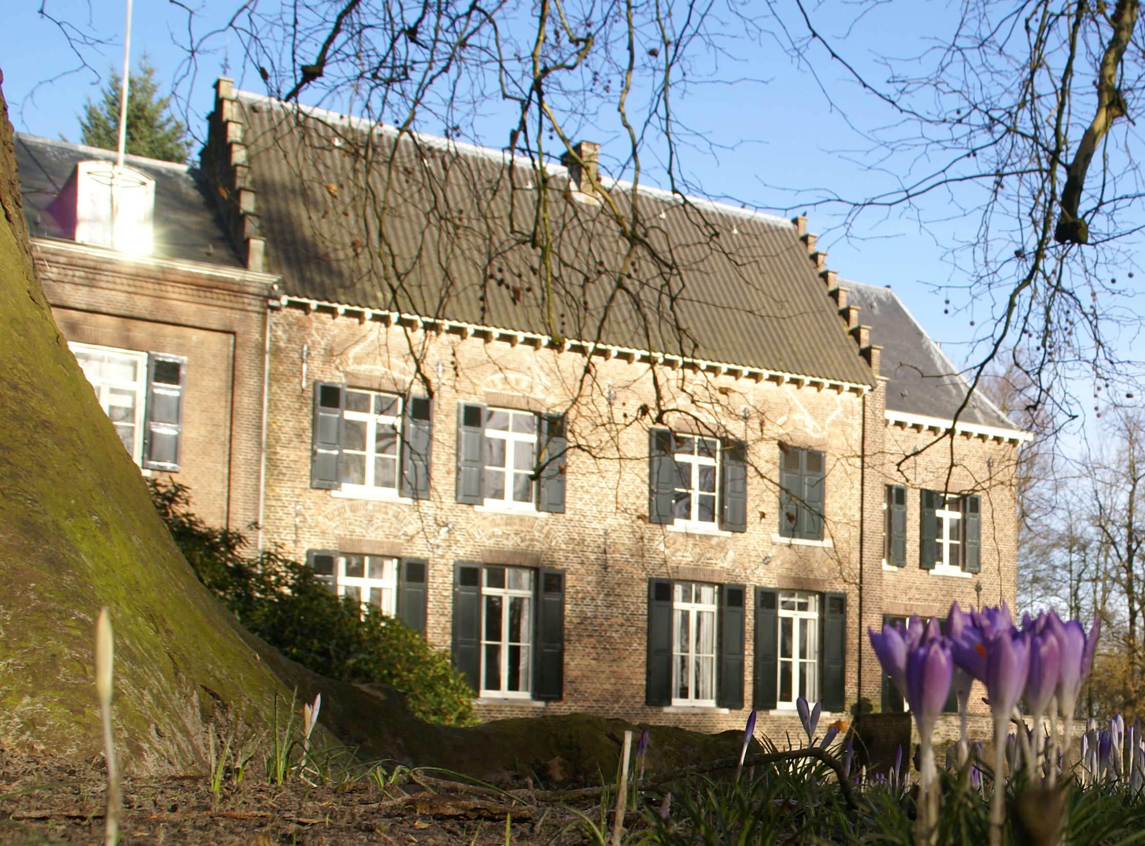 Historisch gebouw met groene luiken, omgeven door bomen en bloeiende paarse krokussen.