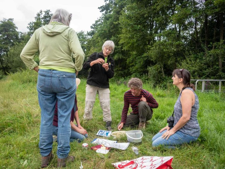 Een groep mensen onderzoekt objecten op een kleed in een grasrijk, bosrijk gebied.