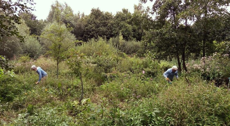 Twee mensen aan het tuinieren in een weelderige, groene omgeving met bomen en struiken.
