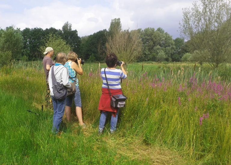 Vier mensen fotograferen bloemen in een groene, natuurlijke omgeving.