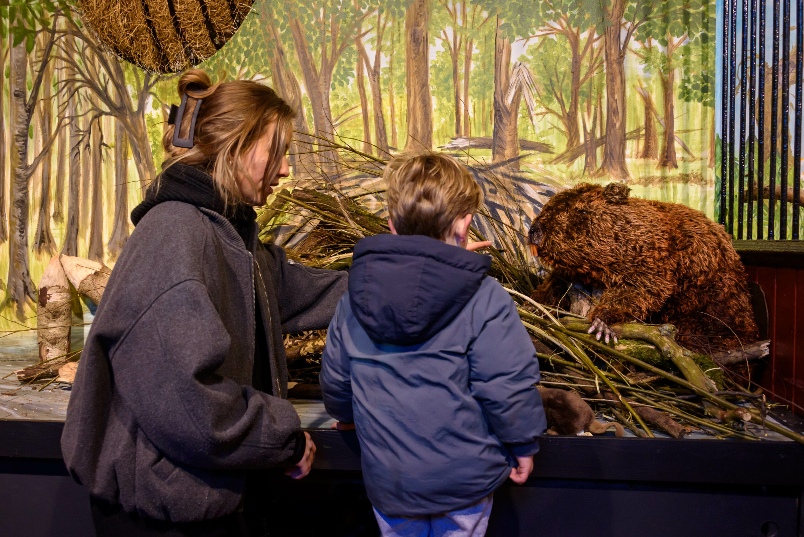 Volwassene en kind bewonderen een opgezette bever bij een bosdiarama.