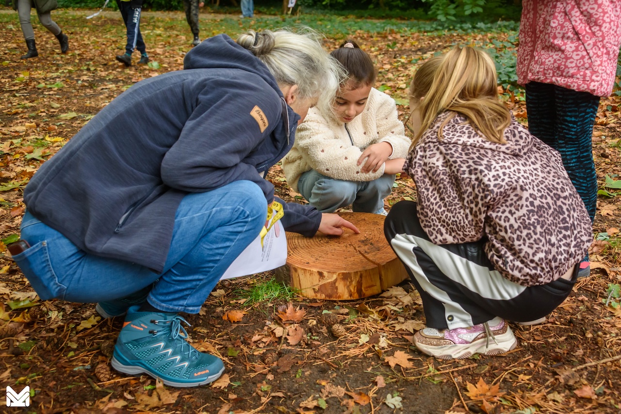 Groep mensen in een bos bestudeert een boomschijf op de grond. Bladeren liggen rondom verspreid.