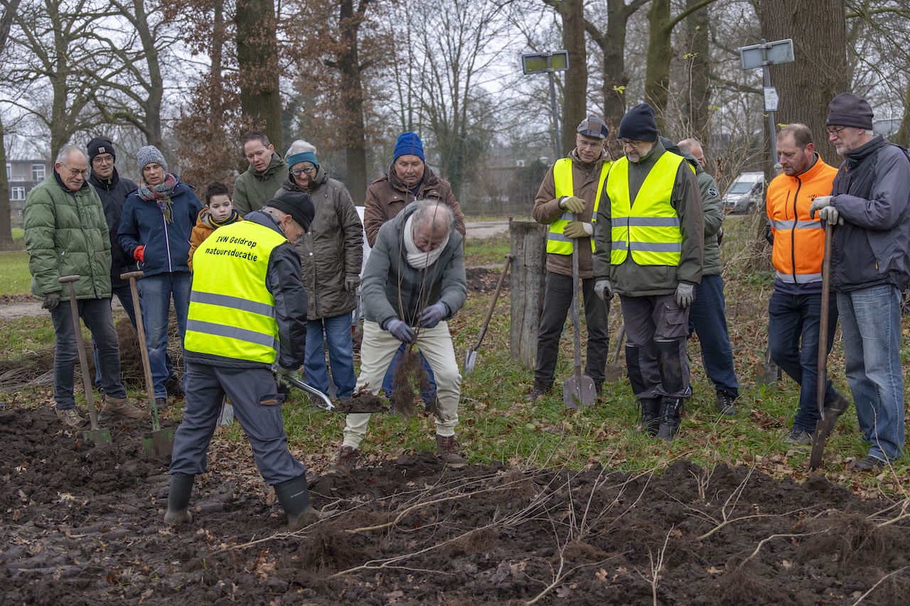 Groep mensen plant bomen, enkele in gele hesjes, op een bewolkte dag in een park.