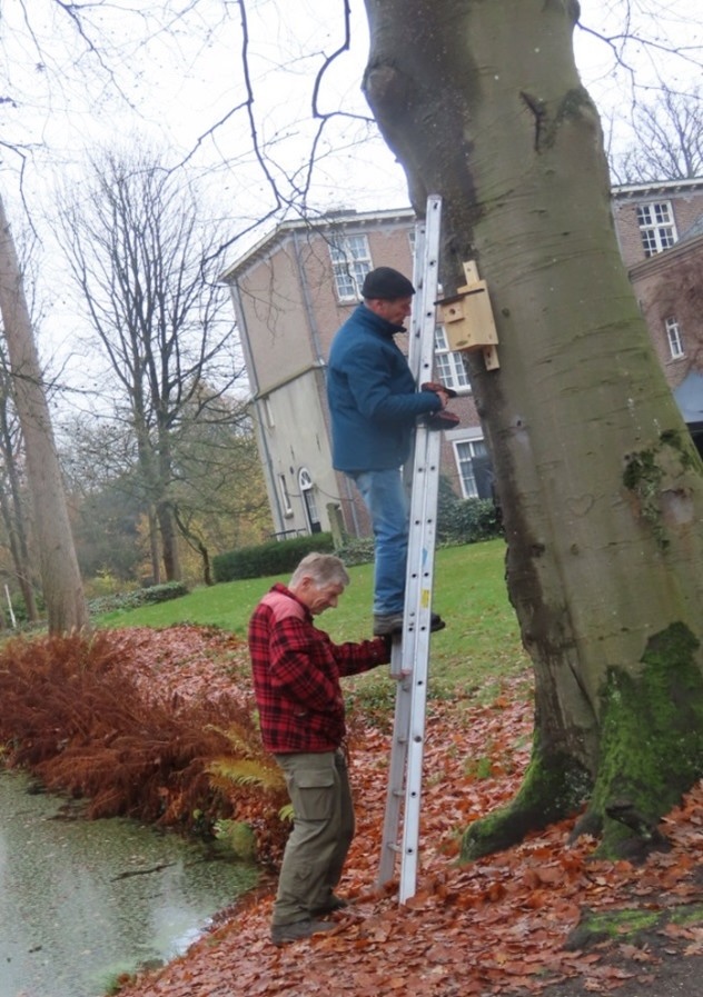 Twee mannen plaatsen een vogelhuisje hoog in een boom met behulp van een ladder.