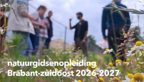 Groep mensen in natuur, focus op bloemen, tekst: natuurgidsenopleiding Brabant-zuidoost 2026-2027.