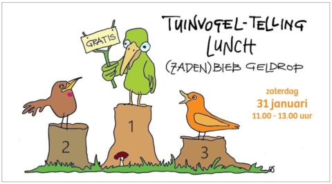 Drie vogels op erepodium, de middelste houdt een bordje 'GRATIS'. Text: Tuinvogel-telling Lunch.