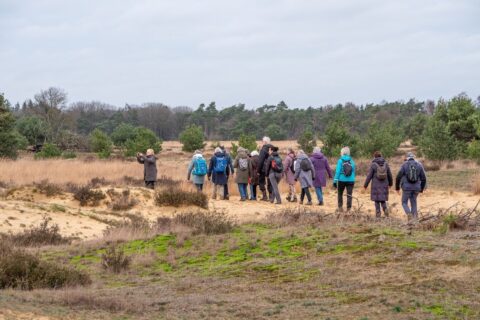 Een groep wandelaars loopt door een droog heidegebied met bomen op de achtergrond.