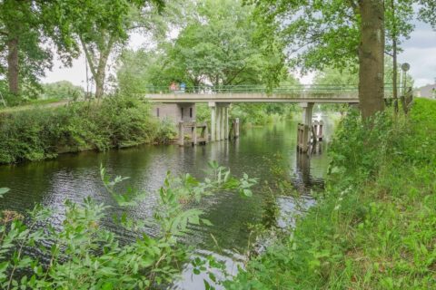 Brug over een groene rivier omringd door bomen en weelderige vegetatie.