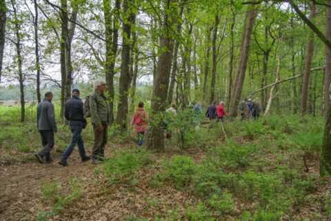 Groep mensen wandelt op een pad door een dicht, groen bos.