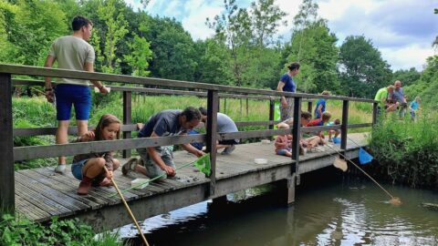 Mensen en kinderen vangen waterdieren met schepnetten op een houten brug in een groene omgeving.