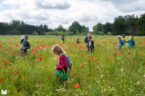 Kinderen spelen in een veld met rode klaprozen onder een bewolkte hemel.