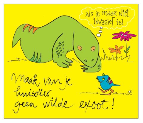Groene hagedis kijkt naar blauwe vogel met tekst: "Als je maar niet invasief is!" en "Maak van je huisdier geen wilde exoot!".