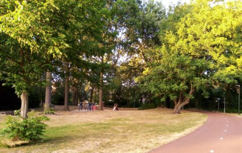 Fietspad langs speeltuin met glijbaan en schommels, omringd door groene bomen.