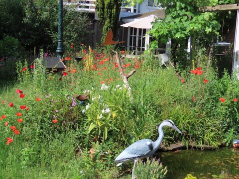Weelderige tuin met felrode klaprozen, een metalen reiger bij een vijver en een huis op de achtergrond.