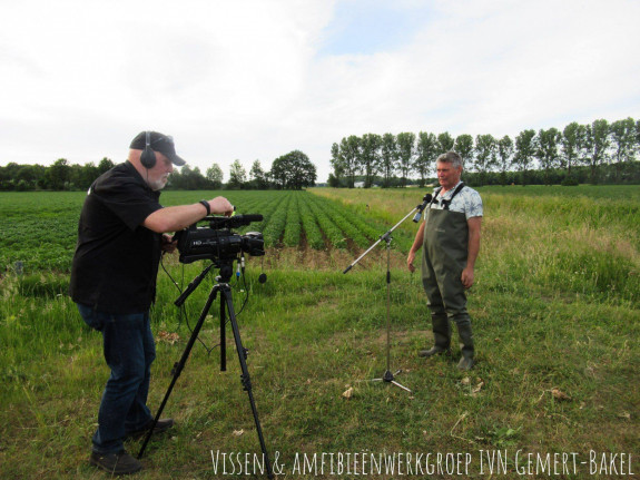 IVN Gemert-Bakel 