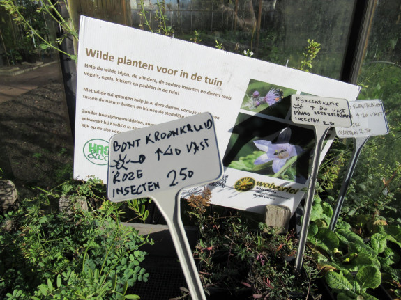 Cas & Co inheemse planten 