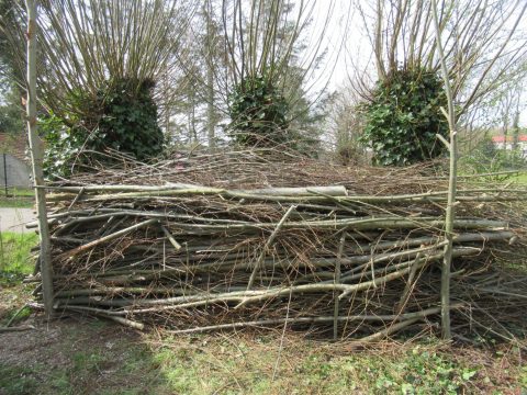 Nieuwe houtril van snoeihout uit eigen gemeente