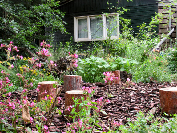 groenlingen ivn natuurkinderen scharrelkids