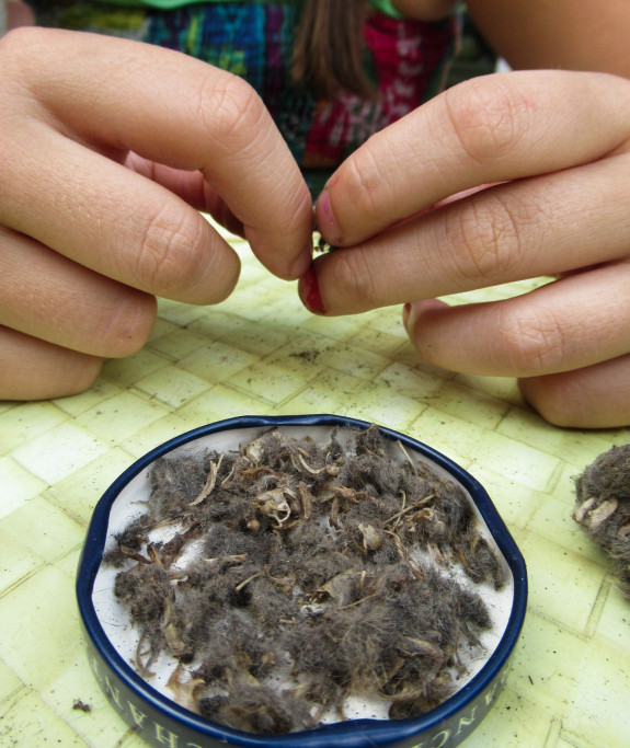 braakballen natuurkinderen 