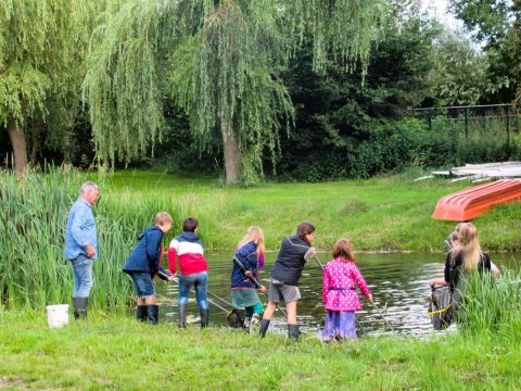 Jaaroverzicht Vissen & Amfibieënwerkgroep IVN Gemert-Bakel