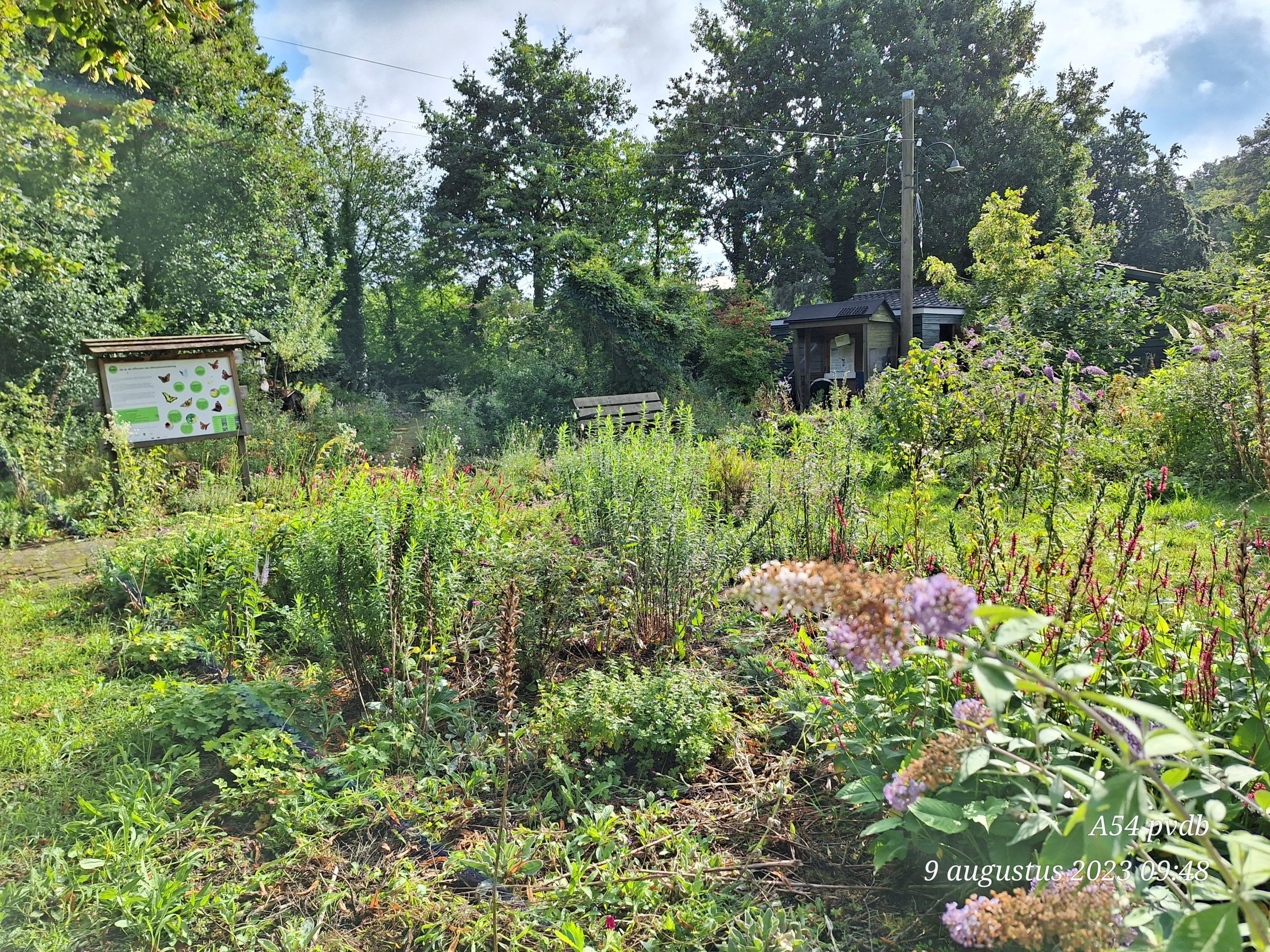 Tuin met wilde bloemen, informatiebord en bank, omgeven door dichte, groene bomen.