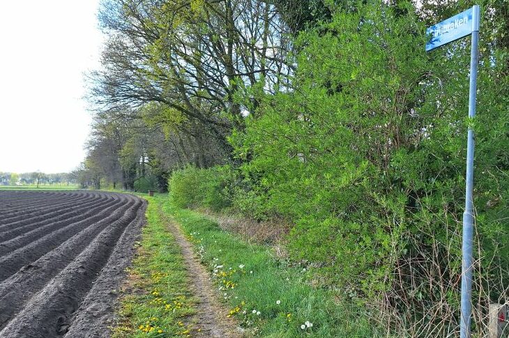 Landweg langs akker met groene struiken en bomen, bord met straatnaam aan rechterkant.