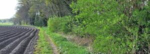 Landweg langs akker met groene struiken en bomen, bord met straatnaam aan rechterkant.