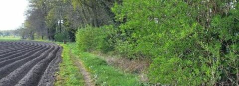Landweg langs akker met groene struiken en bomen, bord met straatnaam aan rechterkant.