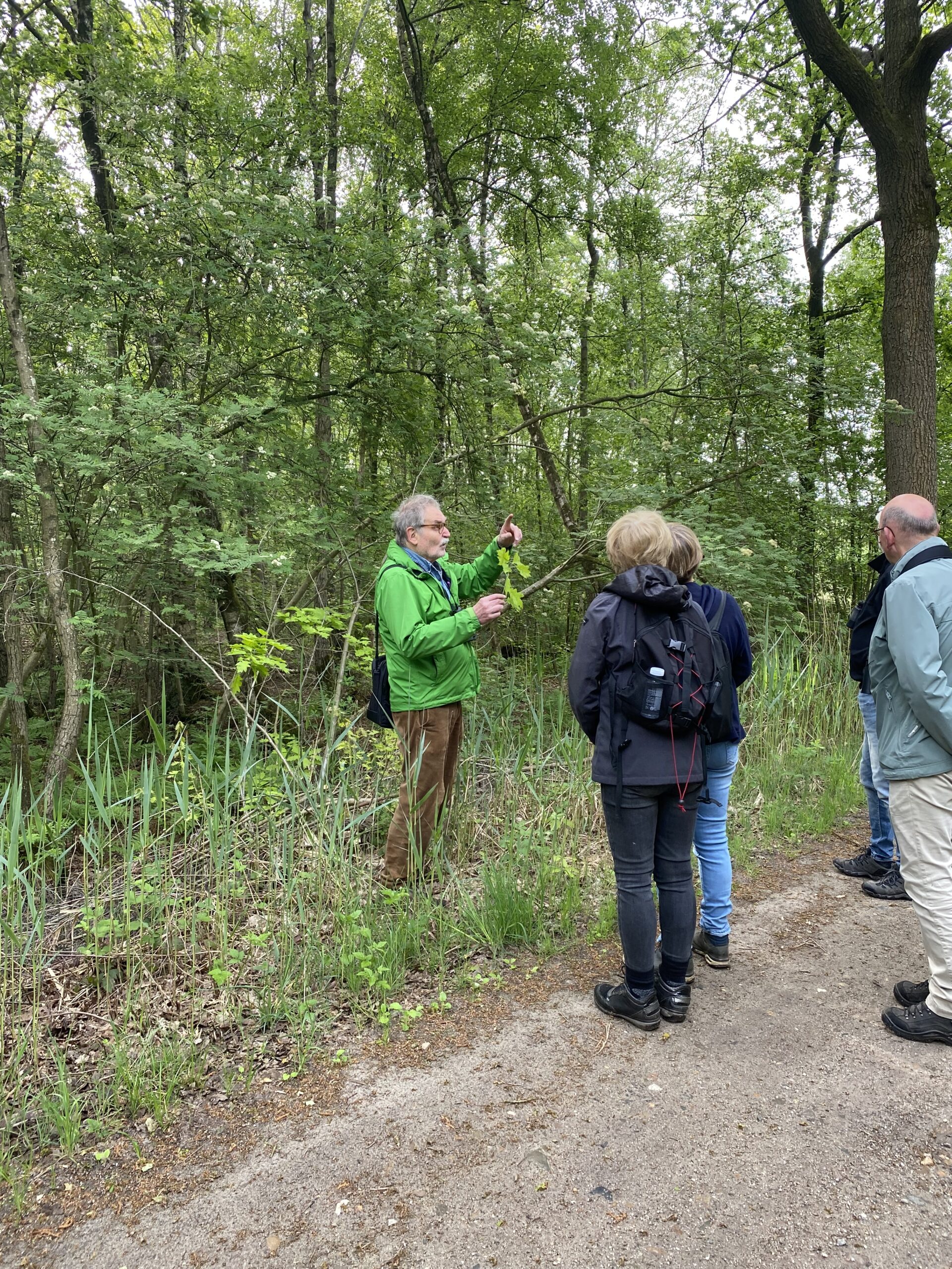 Een gids toont planten aan een groep mensen in een bosrijke omgeving.