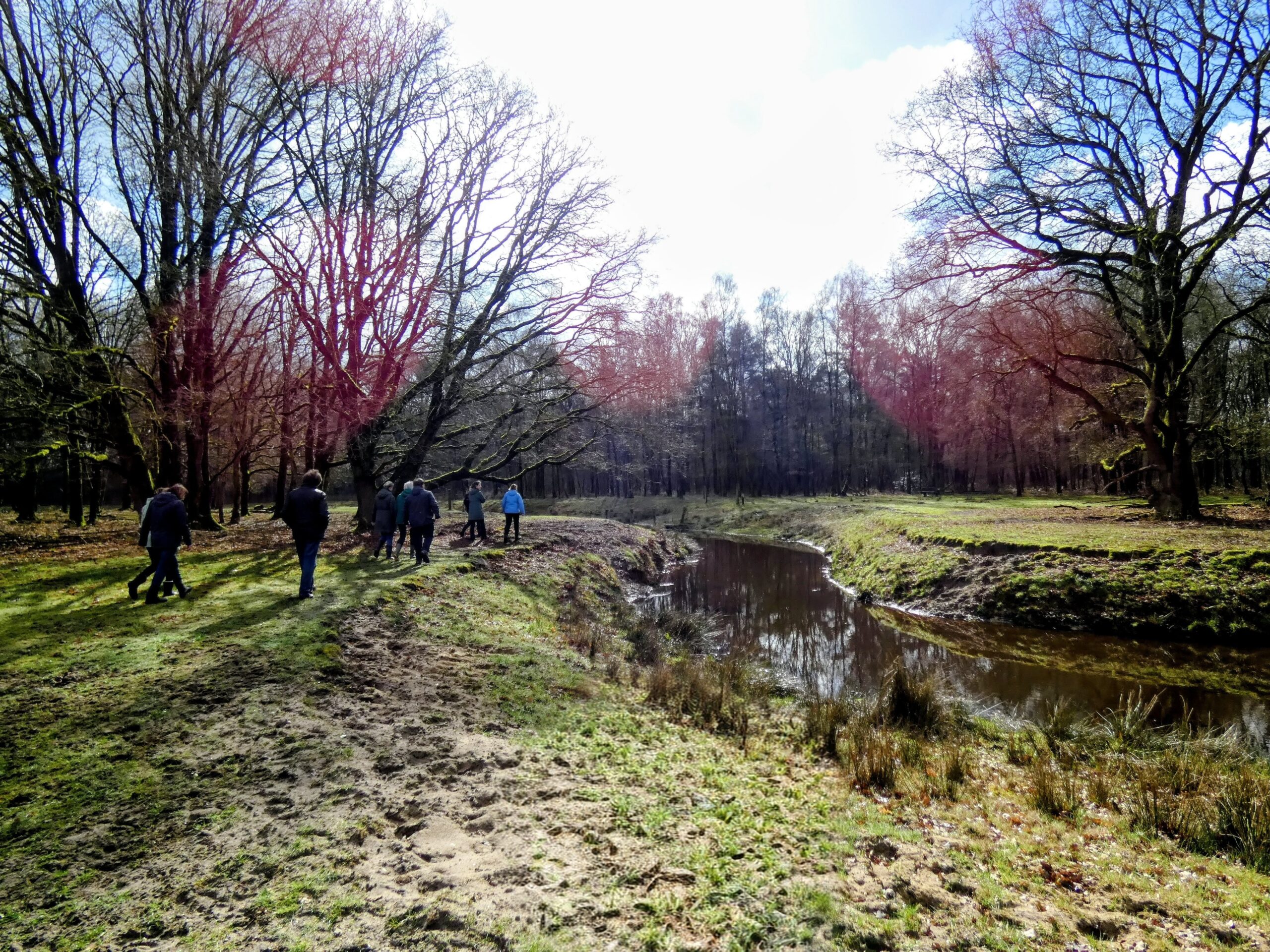 Groep mensen wandelt langs een kronkelende beek in een bosrijk landschap met kale bomen.