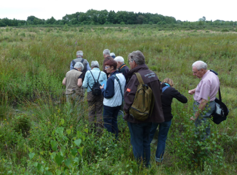 Een groep mensen wandelt door een groen, open veld met dichte begroeiing.