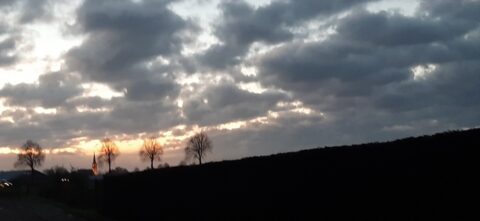 Lucht met dramatische wolken bij zonsondergang, silhouetten van vier bomen en een kerktoren.