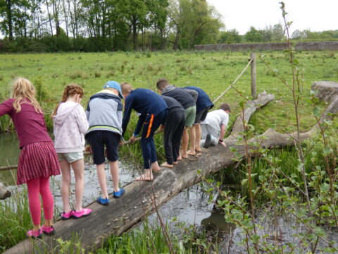 Kinderen balanceren op een omgevallen boomstam over een smalle sloot in een groene omgeving.