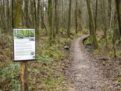 Bosrijk wandelpad met informatiebord over donaties voor brugherstel.