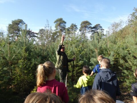 Boswachter leidt groep kinderen door jong naaldbos onder blauwe hemel.