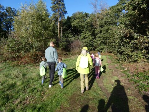 Groep mensen wandelt op een bospad omringd door bomen in de zon.