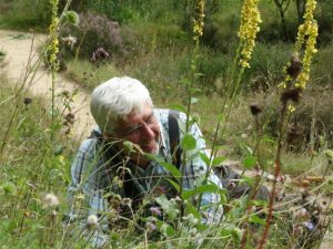 gooi_heemtuin_002