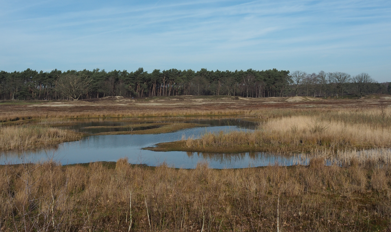 Publiekswandeling Laarder Wasmeer