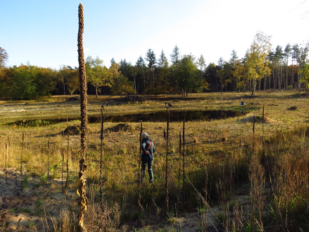 Excursie faunatunnel Monnikenberg