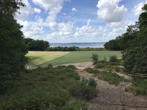Uitzicht op een akker met bomen, daarachter een meer onder een bewolkte hemel.