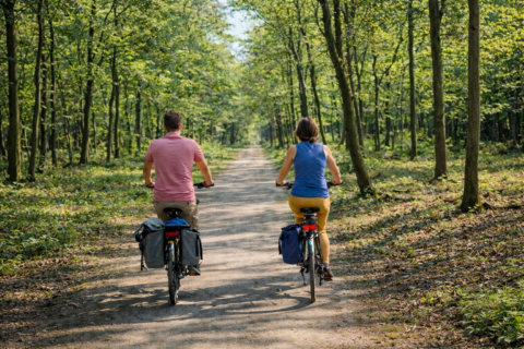 Twee mensen fietsen door een bos op een zonnige dag, op een breed bospad.