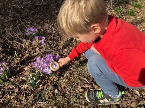 Een kind onderzoekt paarse bloemen met een vergrootglas in de tuin.