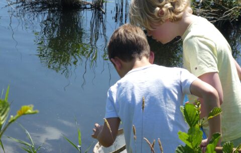 Twee kinderen vangen waterdieren met een net bij een vijver in de natuur.