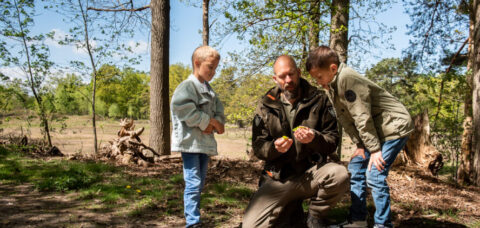 Man met twee kinderen onderzoekt een blad in een bosrijke omgeving op een zonnige dag.
