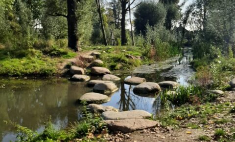 Een kronkelende beek met stapstenen omgeven door bomen en groen in een natuurlijk landschap.