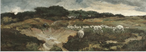 Schapen grazen op een heuvelachtig landschap onder een bewolkte hemel.