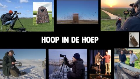 Fotografen observeren natuur in verschillende omgevingen. Tekst: "HOOP IN DE HOEP".