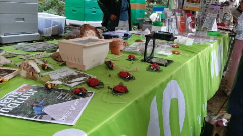 Informatiestand met groene tafelkleed, folders, insectmodellen, en boeken over natuur.