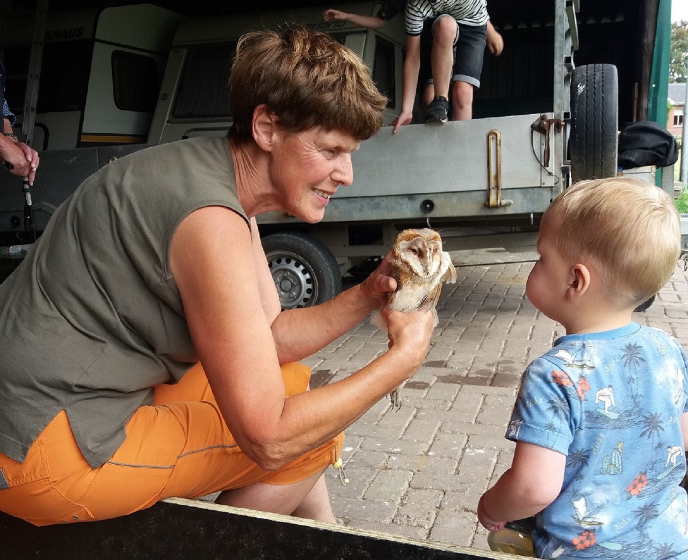 Vogeltellingen en verslagen 2019